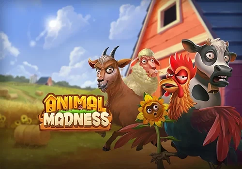 Animal Madness - Wild Adventure Social Casino Game